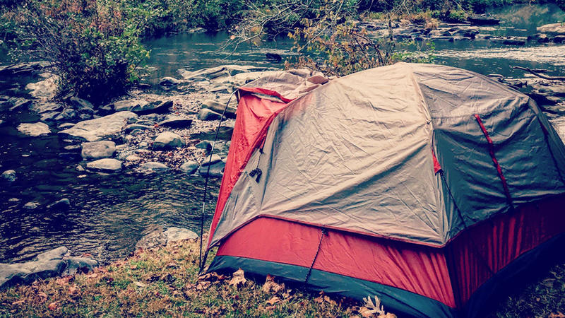 A dome tent pitched with the entryway facing a small creek with fall foliage on the ground